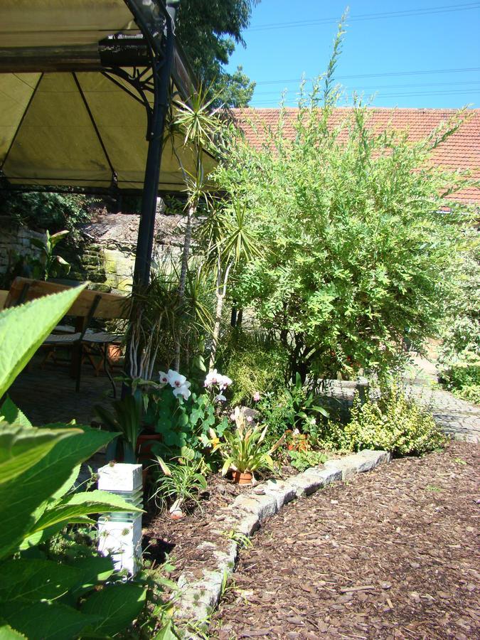 Ferienwohnung Toscana Dresde Exterior foto